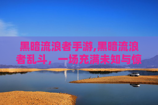 黑暗流浪者手游,黑暗流浪者乱斗，一场充满未知与惊喜的冒险之旅