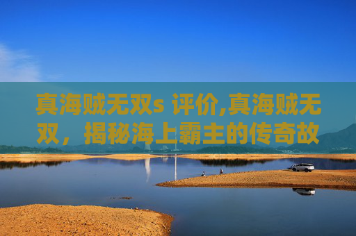 真海贼无双s 评价,真海贼无双，揭秘海上霸主的传奇故事
