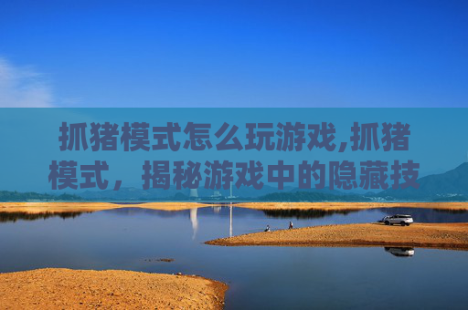 抓猪模式怎么玩游戏,抓猪模式，揭秘游戏中的隐藏技巧与策略