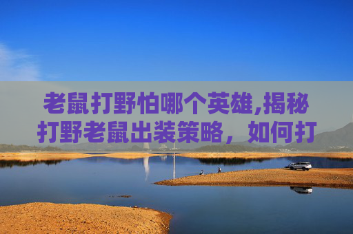 老鼠打野怕哪个英雄,揭秘打野老鼠出装策略，如何打造最强打野英雄