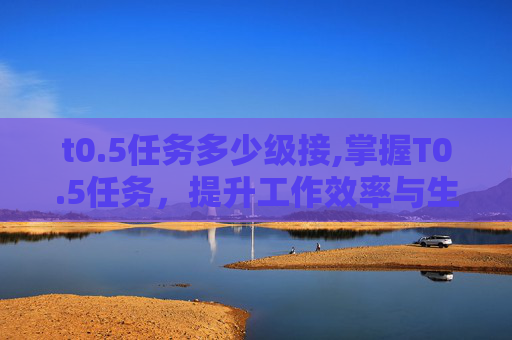 t0.5任务多少级接,掌握T0.5任务，提升工作效率与生产力的秘密