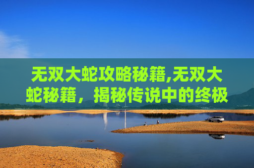 无双大蛇攻略秘籍,无双大蛇秘籍，揭秘传说中的终极战斗技巧