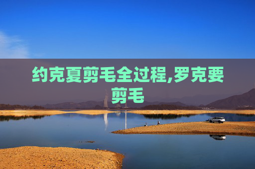 约克夏剪毛全过程,罗克要剪毛