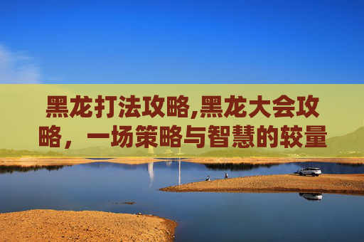 黑龙打法攻略,黑龙大会攻略，一场策略与智慧的较量