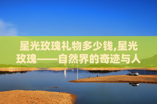 星光玫瑰礼物多少钱,星光玫瑰——自然界的奇迹与人类情感的共鸣
