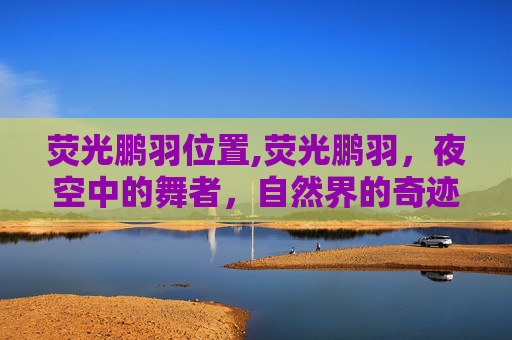 荧光鹏羽位置,荧光鹏羽，夜空中的舞者，自然界的奇迹