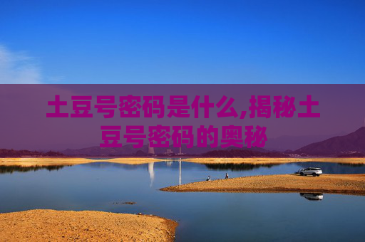 土豆号密码是什么,揭秘土豆号密码的奥秘