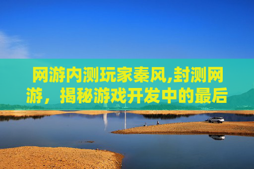 网游内测玩家秦风,封测网游，揭秘游戏开发中的最后关卡