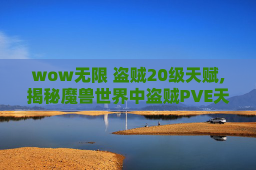 wow无限 盗贼20级天赋,揭秘魔兽世界中盗贼PVE天赋的奥秘