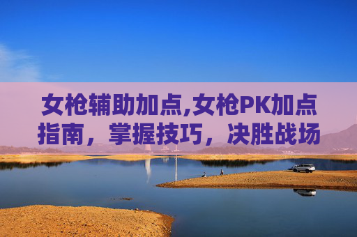 女枪辅助加点,女枪PK加点指南，掌握技巧，决胜战场
