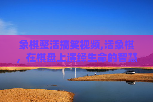 象棋整活搞笑视频,活象棋，在棋盘上演绎生命的智慧