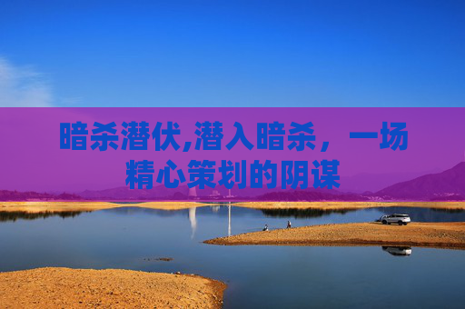 暗杀潜伏,潜入暗杀，一场精心策划的阴谋