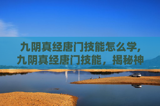 九阴真经唐门技能怎么学,九阴真经唐门技能，揭秘神秘武学中的绝技