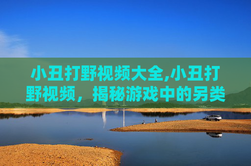 小丑打野视频大全,小丑打野视频，揭秘游戏中的另类英雄
