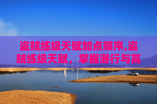 盗贼练级天赋加点顺序,盗贼练级天赋,掌握潜行与高输出的完美平衡 盗贼练级天赋加点顺序,盗贼练级天赋,掌握潜行与高输出的完美平衡