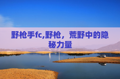 野枪手fc,野枪,荒野中的隐秘力量 野枪手fc,野枪,荒野中的隐秘力量