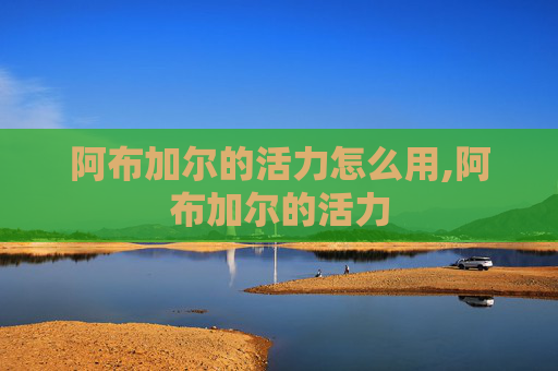 阿布加尔的活力怎么用,阿布加尔的活力