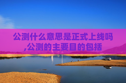 公测什么意思是正式上线吗,公测的主要目的包括