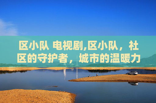 区小队 电视剧,区小队，社区的守护者，城市的温暖力量