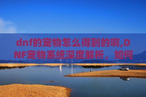 dnf的宠物怎么得到的啊,DNF宠物系统深度解析，如何获取并培养你的专属宠物