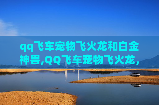 qq飞车宠物飞火龙和白金神兽,QQ飞车宠物飞火龙，点燃速度与激情的火花