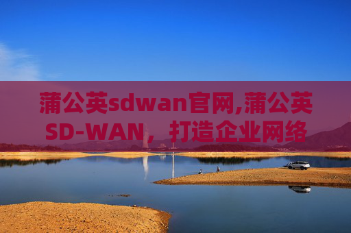 蒲公英sdwan官网,蒲公英SD-WAN，打造企业网络的高效解决方案