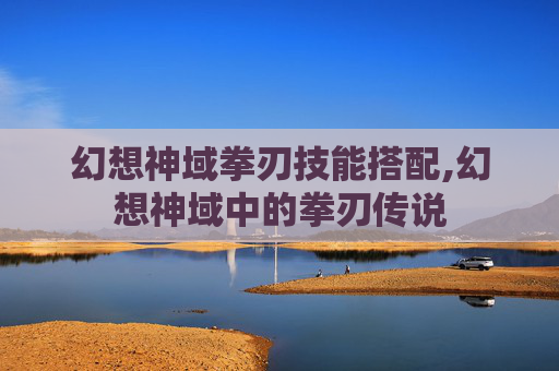 幻想神域拳刃技能搭配,幻想神域中的拳刃传说