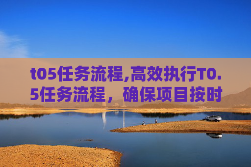 t05任务流程,高效执行T0.5任务流程,确保项目按时交付 t05任务流程,高效执行T0.5任务流程,确保项目按时交付
